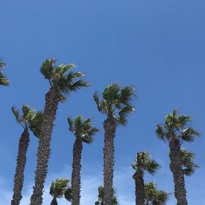 Meet your Posher, Yvonne